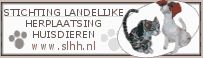 klik hier