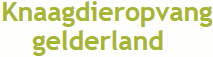 klik hier klik hier