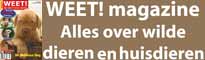 klik hier