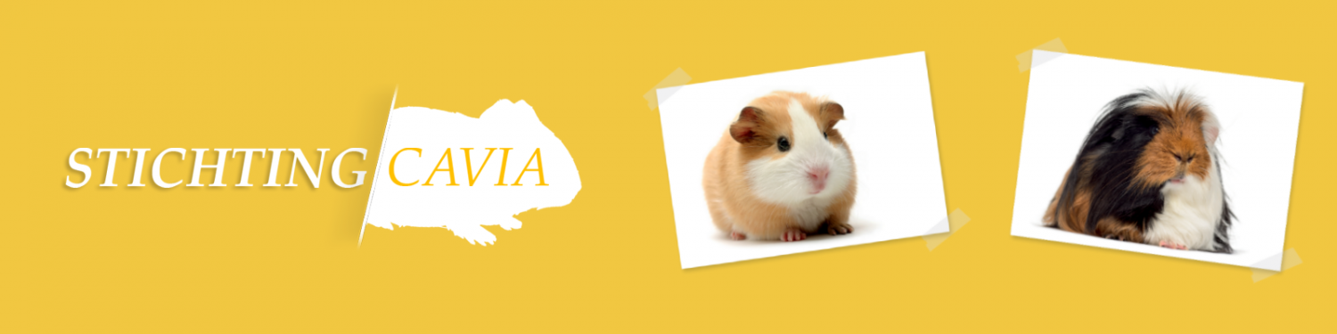 Stichting Cavia